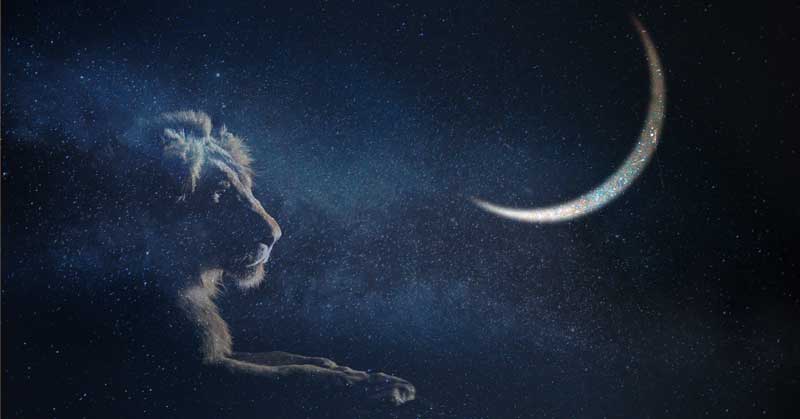 New Moon in Leo: Courage and Joy
