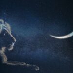 New Moon in Leo, August 2021