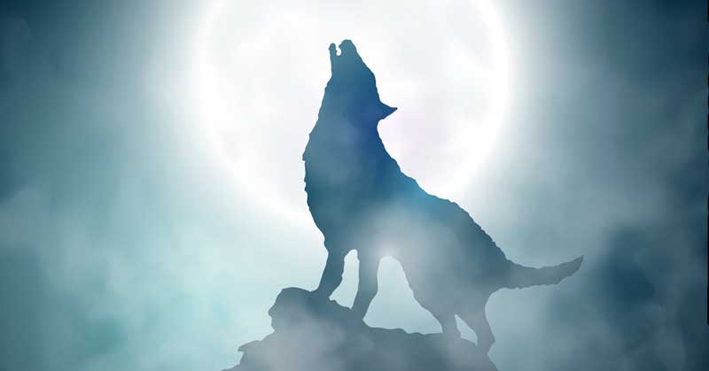 Howling with the Full Wolf Moon in Cancer: January 17, 2022