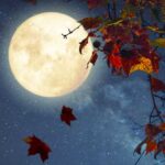 Taurus Full Moon Lunar Eclipse, October 2023