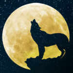 Full Moon in Leo - the Wolf Moon
