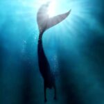 New Moon in Pisces, Mermaid diving for bottom of ocean