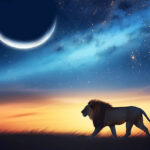 Leo New Moon, August 2024