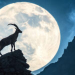 Full Moon in Capricorn