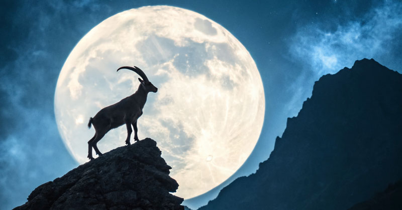 Full Moon in Capricorn