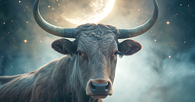 Taurus bull faces forward against a starry sky and a crescent moon, symbolizing the May 2026 New Moon in Taurus.